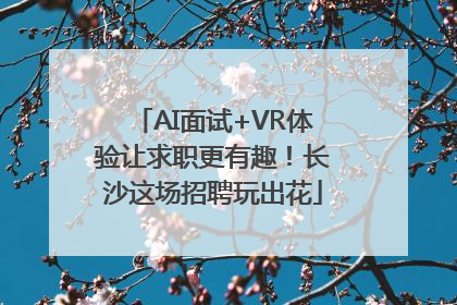 AI面试+VR体验让求职更有趣！长沙这场招聘玩出花