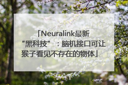 Neuralink最新“黑科技”：脑机接口可让猴子看见不存在的物体
